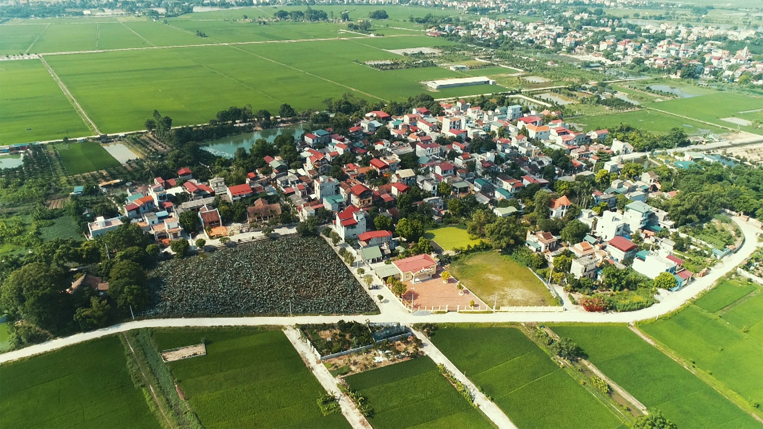 Thống Nhất - Thường Tín: Vùng Quê Thuần Nông, Hướng Tới Nông Thôn Mới